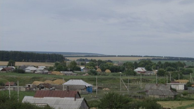 Ульяновская область майнский район село березовка фото