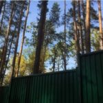 Секреты «элитных» ульяновских садоводов и огородников: халявная земля, незаконное строительство и прочие блага