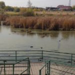Ульяновская мэрия и гордума убирают пруд на Шолмова из генплана. Стройку на незаконно отведенном участке возобновили