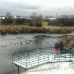 Мэрию просят увидеть водный объект. Жители микрорайона решили судиться с администрацией города