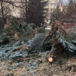 Полиция пришла с обысками в мэрию Ульяновска, земля без елей рядом с памятником Патриарху Сергию выставлена на продажу