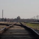 Ульяновская улица вывела к Освенциму. В Ульяновске хотят переименовать дорогу в честь немецкой компании с темным прошлым