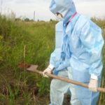 Агентство потеряло координаты. Природоохранный прокурор обратил внимание на проблему сибирской язвы