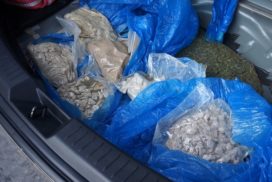 В Ульяновской области УФСБ и полиция задержали наркокурьера с 20 тыс. доз мефедрона